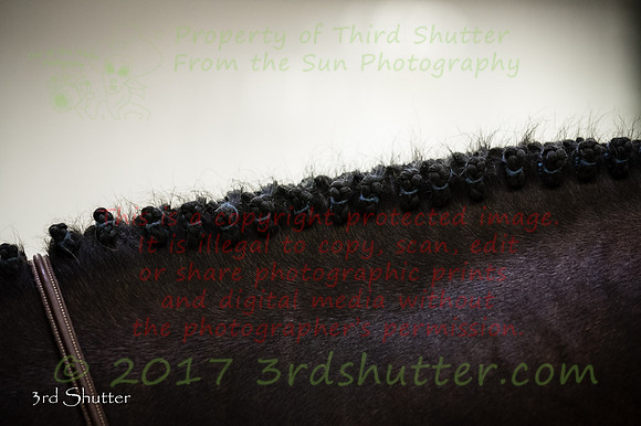_1SF8079