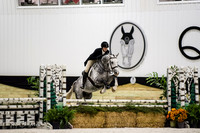 SF1_8654