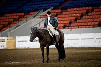 Hunter - AQHA Junior
