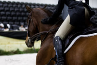 BV2A3456