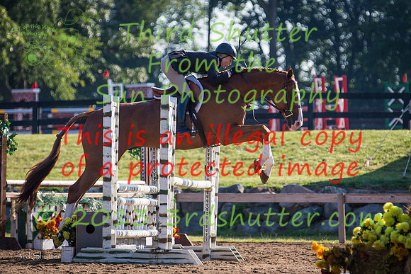 F43Q0713