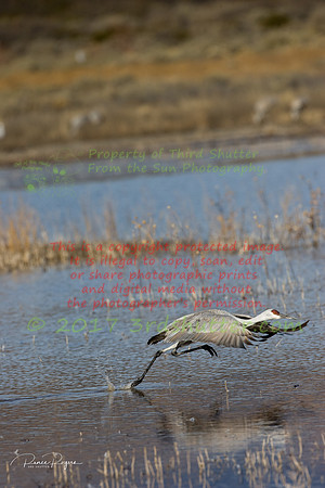 OC9H5064