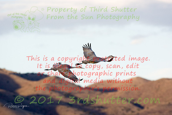 OC9H2290