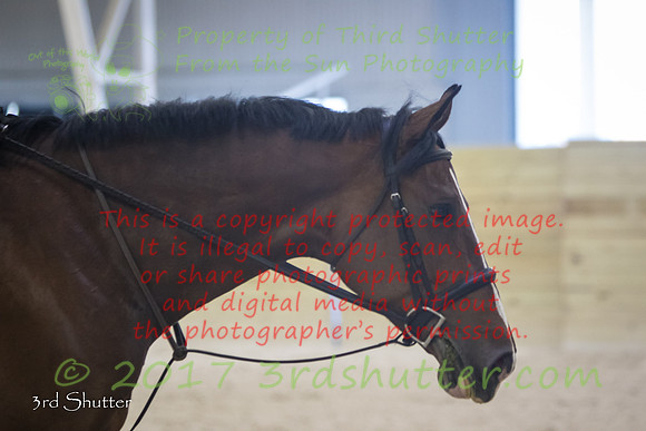 0M3A9263