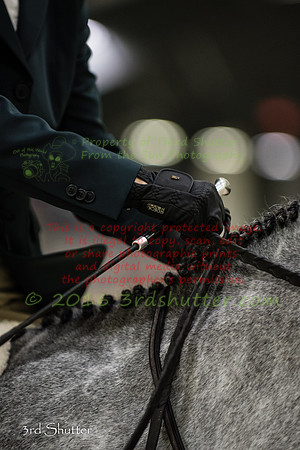 _SF12169