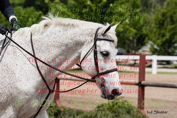 _MSF7428