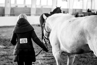 IMG_4029