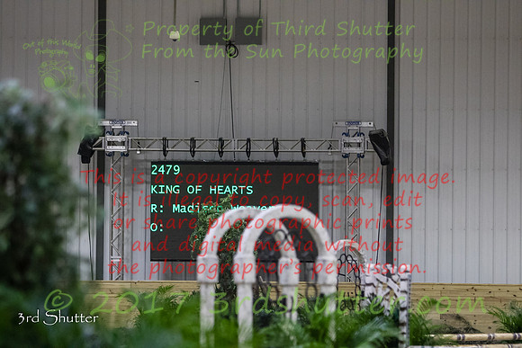 0E5A7295