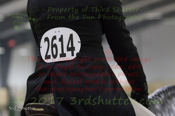 BV2A1048