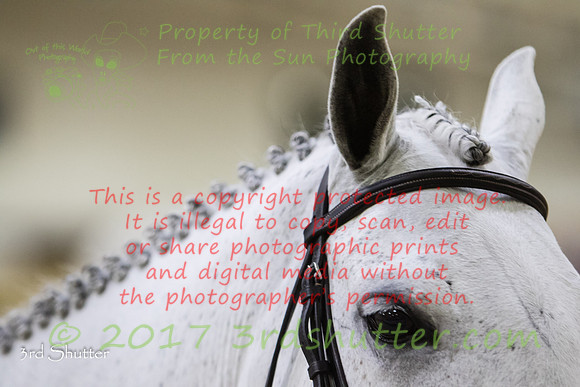 0E5A9413