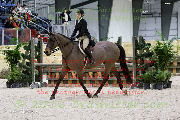 BV2A4415
