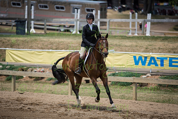 3Z6C4356