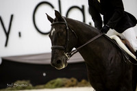 0E5A8991