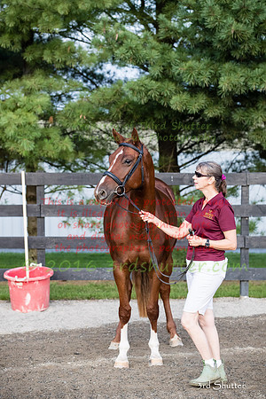 A18I8119