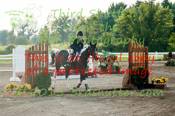 130817_WalkTrotClassic_0120