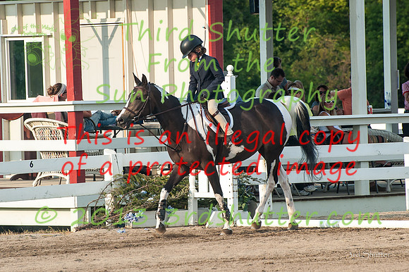 130817_WalkTrotClassic_0190