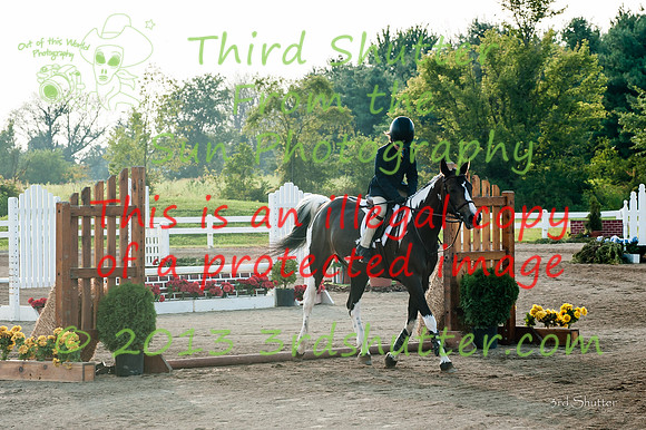 130817_WalkTrotClassic_0122