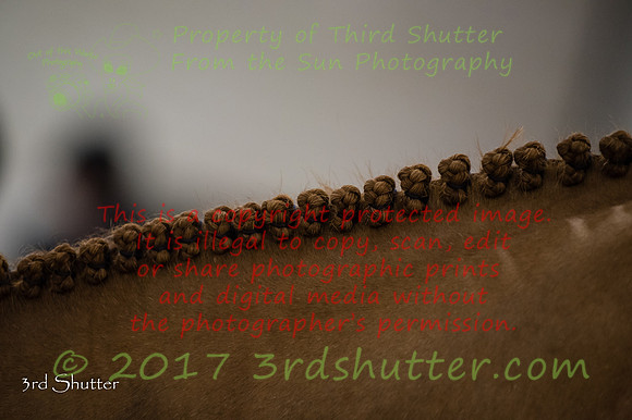 _1SF0783