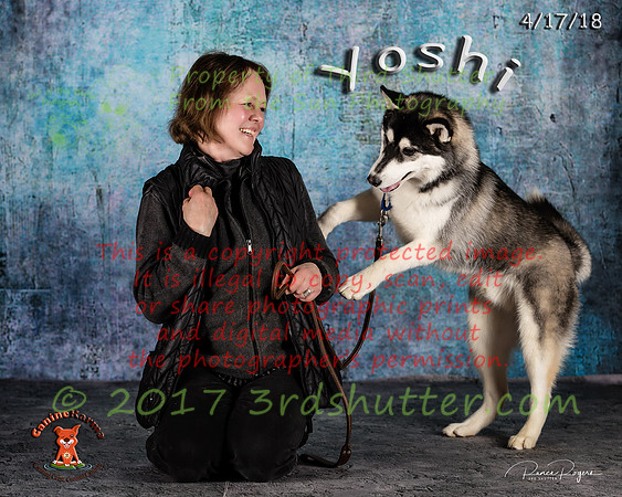 A18I0060-Edit-2