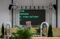 0M3A6715