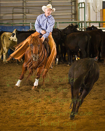 _N1C3543