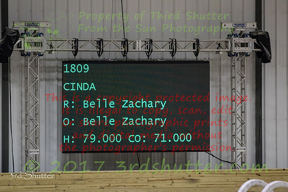 0H3A0740