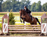 BN1C8336
