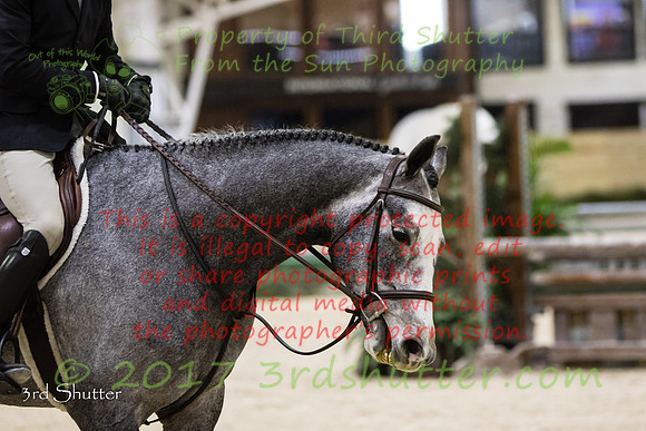 0M3A0962