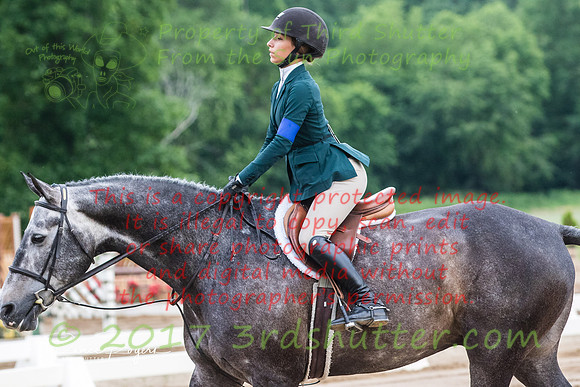 BV2A3008
