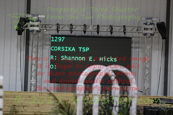 T5568x3708-00408
