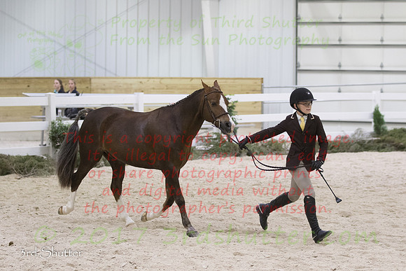 BV2A8915-2