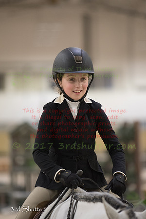 _1SF1173