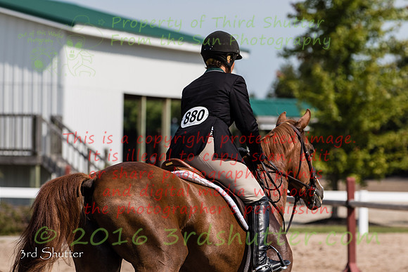 BV2A0422