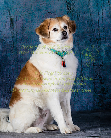 BV2A9999