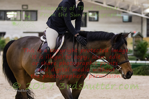 0M3A8207
