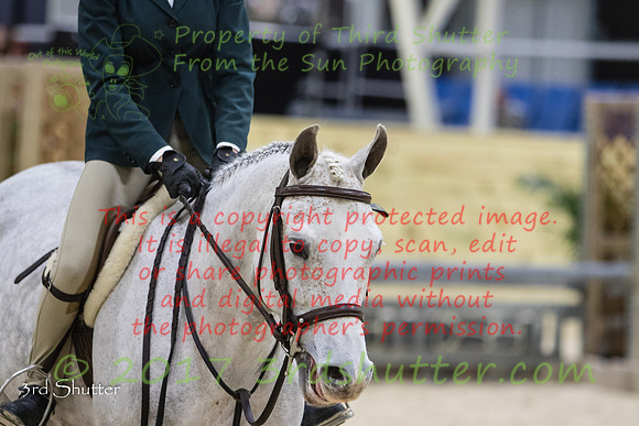 0E5A5393
