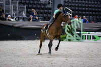 0M3A6667
