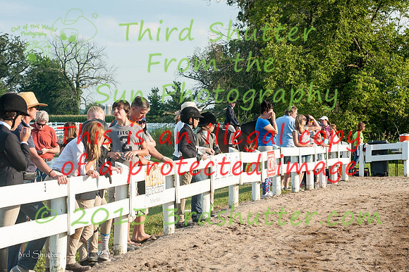 130817_WalkTrotClassic_0154