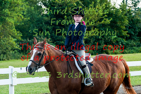 130817_WalkTrotClassic_0245