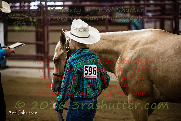 A18I0166