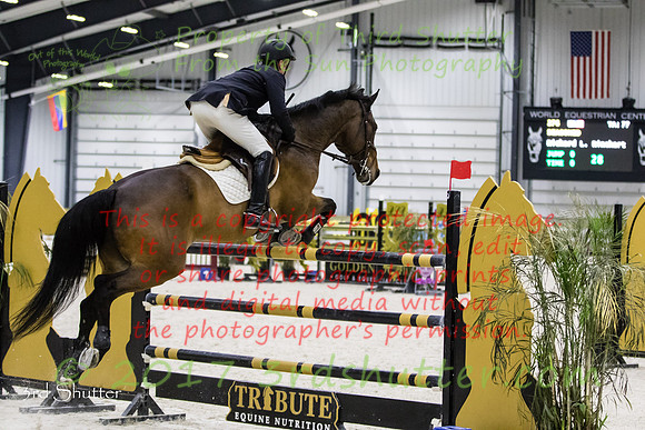 BV2A1139