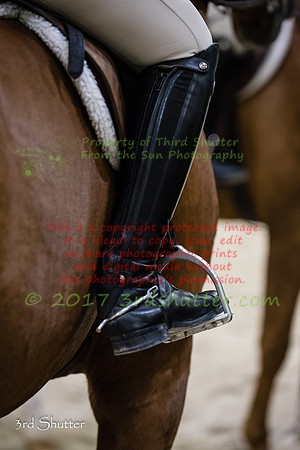 _1SF2655
