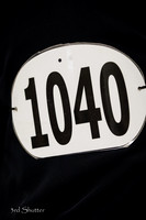 _1SF3039