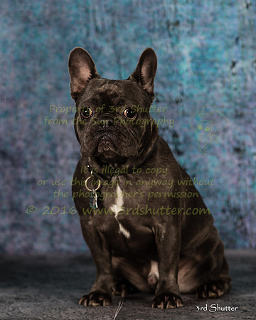 A18I2227