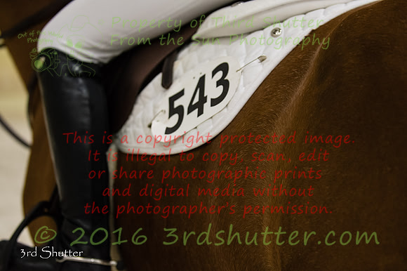 _1SF9528