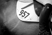 F43Q2355