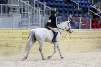0E5A4954