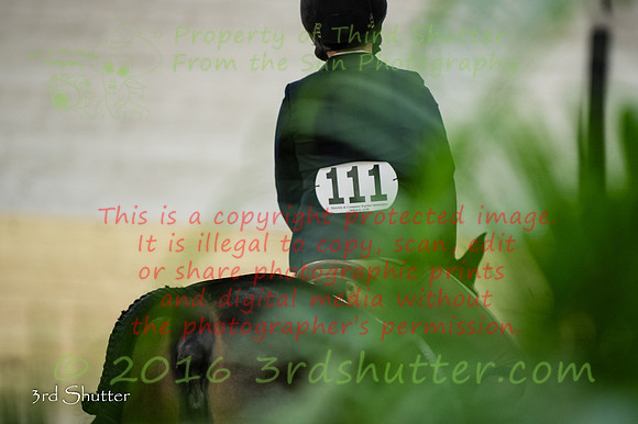 _SF13920