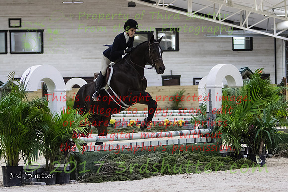 0E5A8262