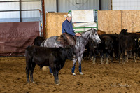 BN1C0095
